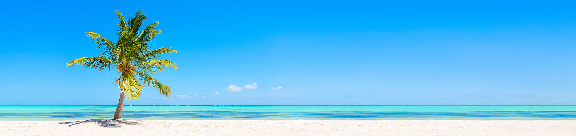 Olivia Vacation Rentals Hero Image